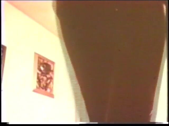 Vintage Usa: Vintage couple hairy pussy fucking big cock sucking