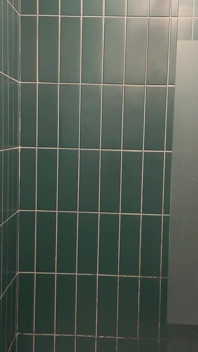 I Give Myself a Good Wank in My Friend's Shower