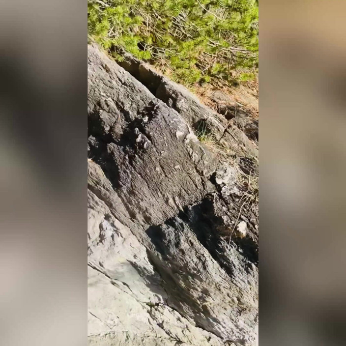 Spuirtcouplexxxx: Compilación de meada y chorro de 8 minutos - lluvia dorada