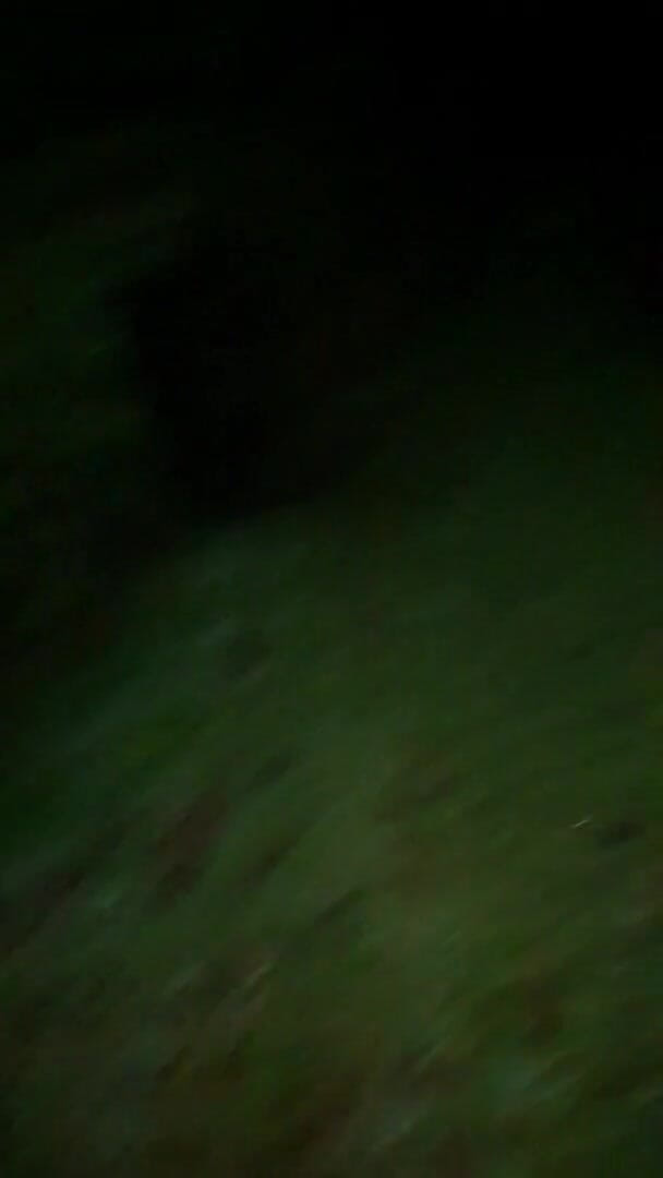 Slutboyben: Slutboyben Cam4 Ratu Eksibisualis seksi Belanda