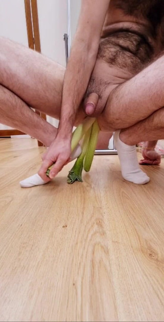 MrX: I Do Love My Veggies