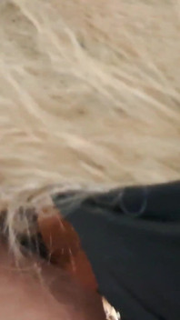 Perfect MILF Blowjob with Cumshot in Mouth POV