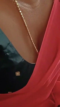 인터뷰 중 회사 CEO에 대한 내 Saree 제거