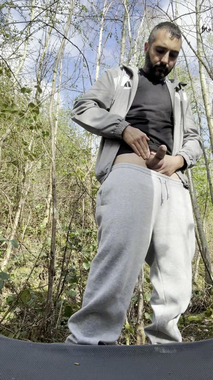 Growing teddy: Paja En El Bosque