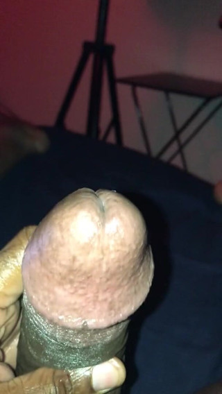 Harrypalms68: stesso tratto