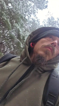 Cruising in the Snowy Woods