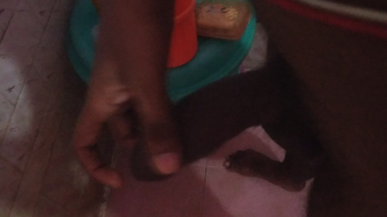 Tamil 10 inches BBC: Tamil 10 cali BBC Poranna sesja wood