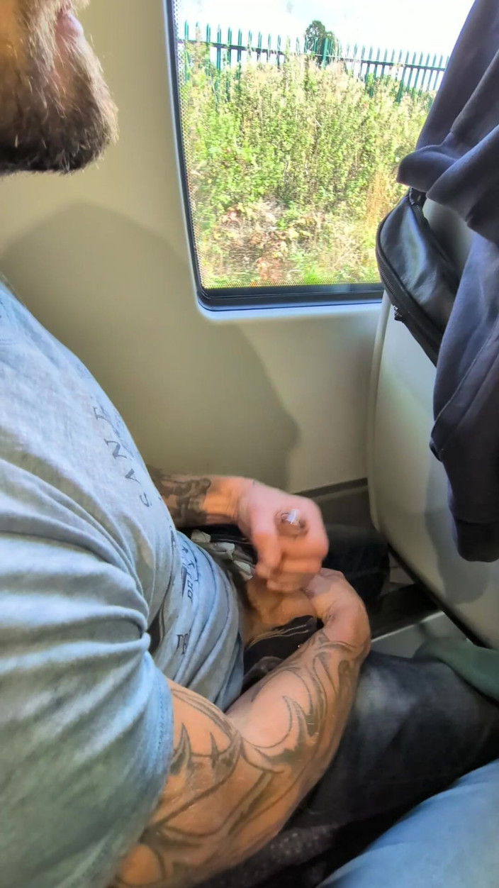 Sexydick: Train