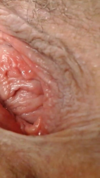 Memek berbulu super closeup