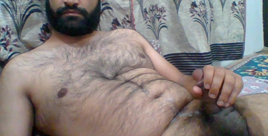 BibearXXX: BibearXXX honění ptáka
