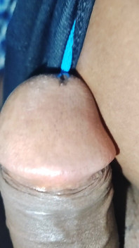 Penis