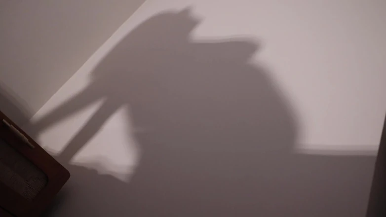 Countess diamond: Worship My Shadow - My Pleasure, Your Denial