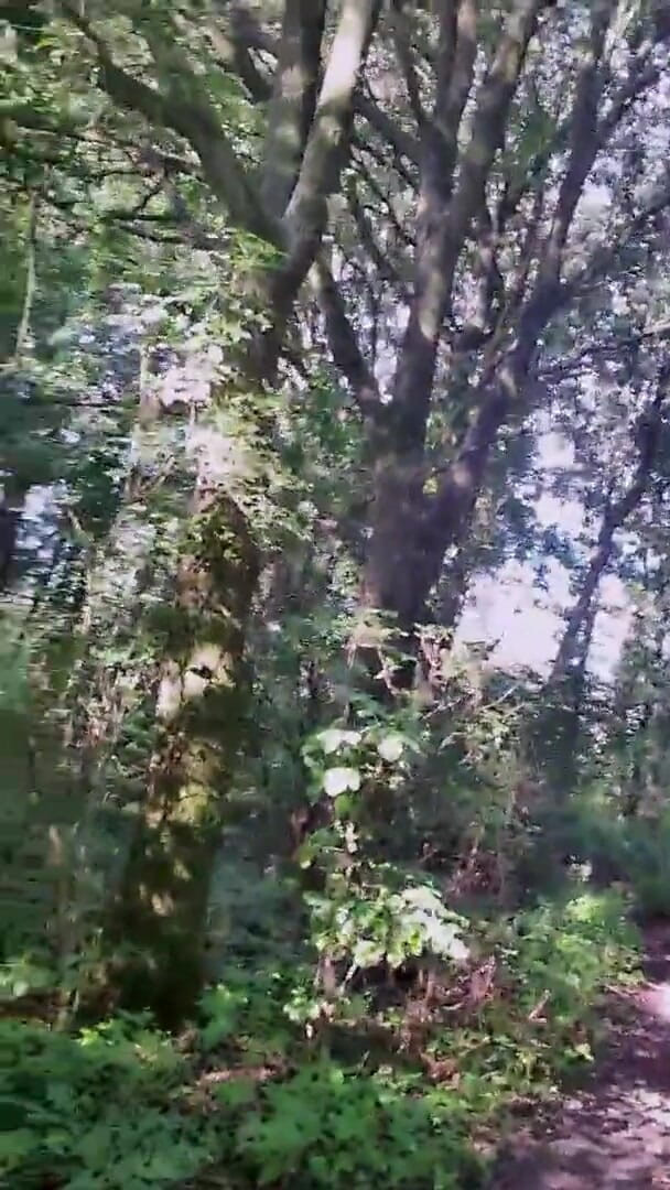 Slutboyben: Slutboyben cam4 sexy exhibitionistenschwein mega heißer spaß