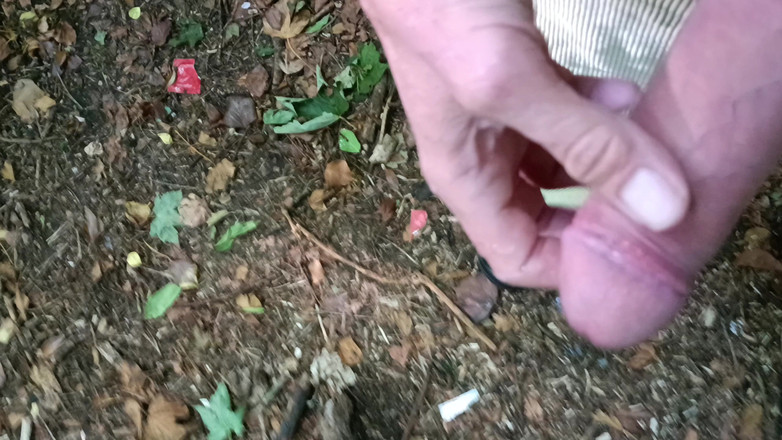 Rockardglans: Une grosse bite non circoncise se promène, pisse et branlette...