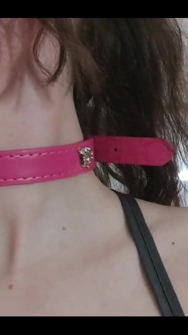 What Do You Think of My New Collar? (Cherry Orchid) What Do You Think of My New Collar? (Cherry Orchid)
