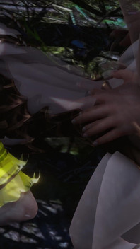 Fucking a Elf in the Forest
