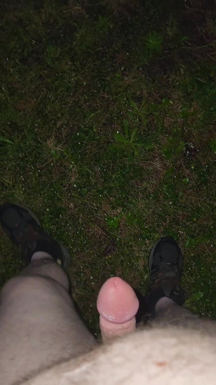 Djk31314: Almost Caught in a Park