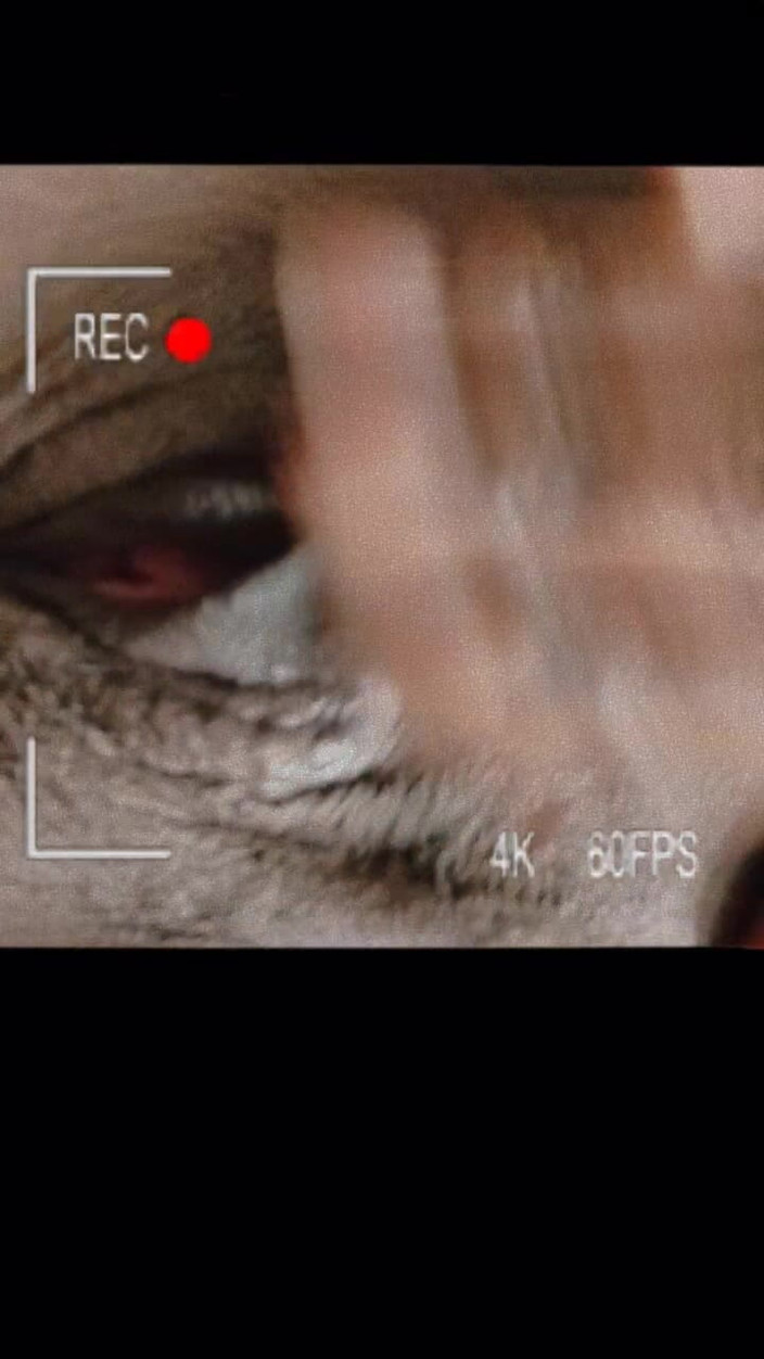 Mz Markqunna: Специальное Видео От Markqunna