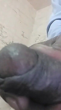 Indiano pau duro