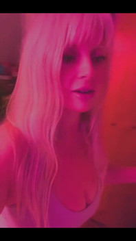 Not Invited Sir Stinkbug