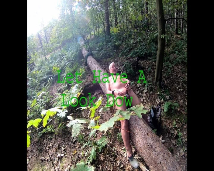 Andy: Wank na dzienniku