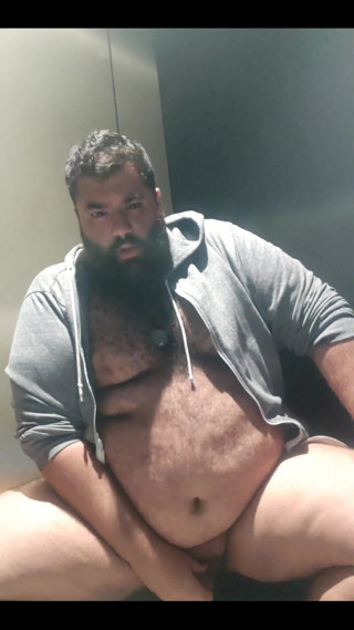 The Mencey: Homem urso