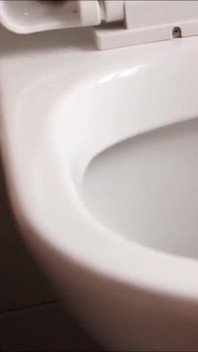 Use your tongue to clean the toilet