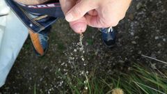 Cicci77: Chcaní a mrdka venku