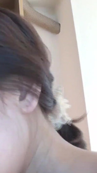 一个管家，是一个活跃的全职家庭主妇。一个喜欢我的已婚女人来了，我在她体精。