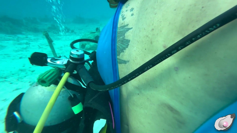 Mistress Pink Pearl: 보네르에서 가장 발정난 문어를 만나는 슈퍼걸