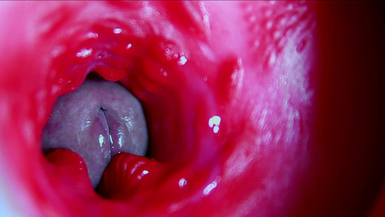 SEXY_GUYBEST: Soczysta piękna cipka squelches wewnątrz Asmr Close-up Wewnątrz odbytu