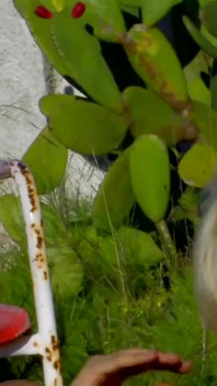 Busty blonde milf is draining dude's hard cock outdoors