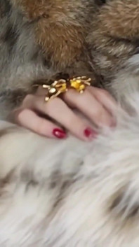 Fur Fetish and Smoking Fetish, Slow Motion