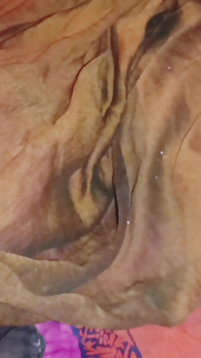 Riyadesi18: Linda Namorada Fazendo Sexo Romântico Hardcore