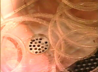 Lesbo Tube: Asian slut getting her mouth and pussy fucked by lesbian...