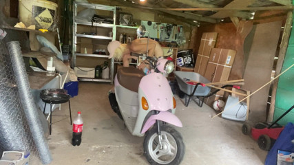 Cuteblonde666: Hairy girl - motorbike cleaning