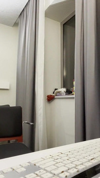 Trainer Karl mit seiner Liebe für Fans [8893]