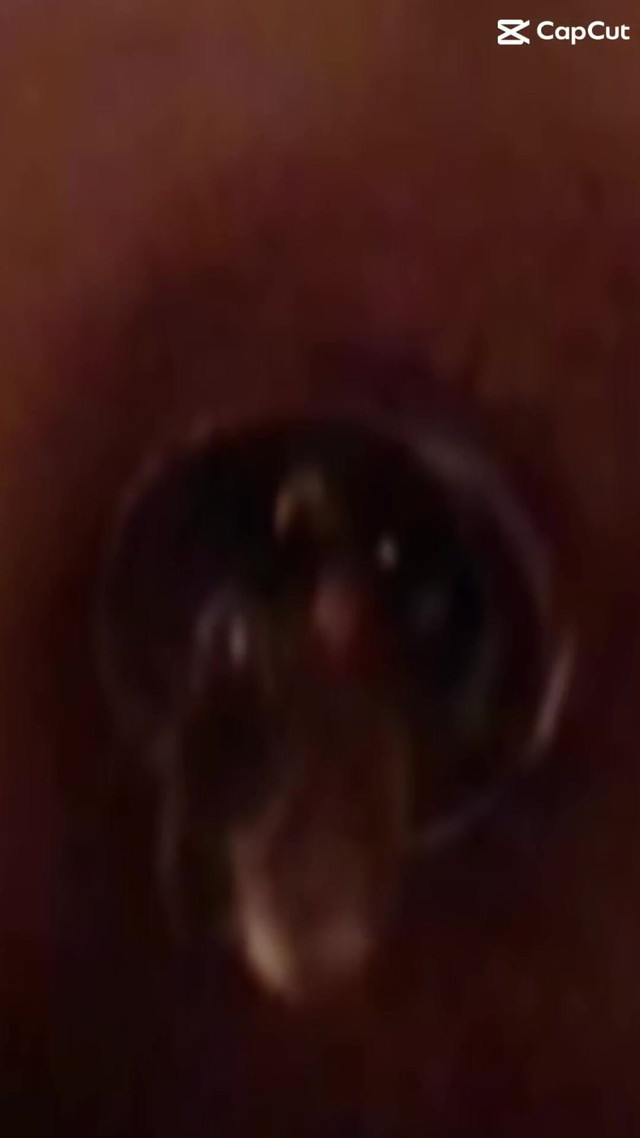 Gape Me Daddy (Lana Sherin)