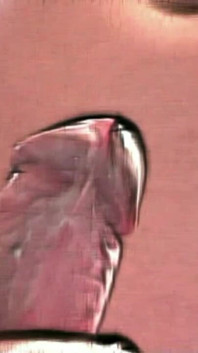 From One of My Lydia Films