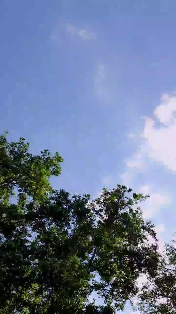 Slutboyben: Slutboyben Cam4 Mega sexy veřejné exhibicionistické prase