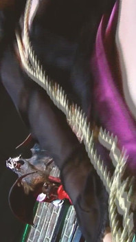 Fetisch-schätzchen, szene-2_anal Orgie von freunden in dessous zusammen sex in einer BDSM-Höhle haben