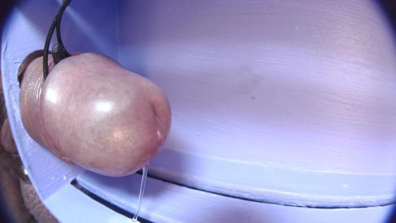Gaylectrician: Pancutan mani e-stim 21-11-22