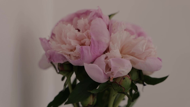 Madelaine_Rousset: Joi roleplay - Virgem BF, namorada puta.