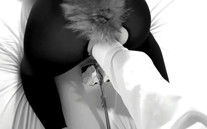 Bdsmlovers91: Kinktober Day 24 - Pet Play Kink - Playing with My Kitten Until...