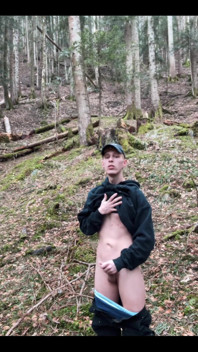 In the Forest