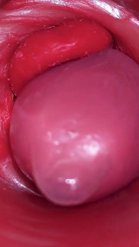 Inside a Camgirl Cervix POV Camera in Vagina with Big Dick Toy