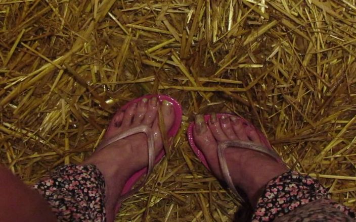 Barefoot Stables: पेशाब स्थिर पैर