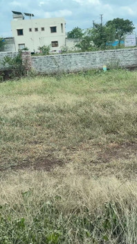 The Salesman Went to Buy a Soft Plot at the Location and Showed Me That Madam Liked It.