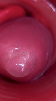 Innerhalb einer camgirl Gebärmutterhals POV-Kamera in der vagina mit großem schwanz, spielzeug