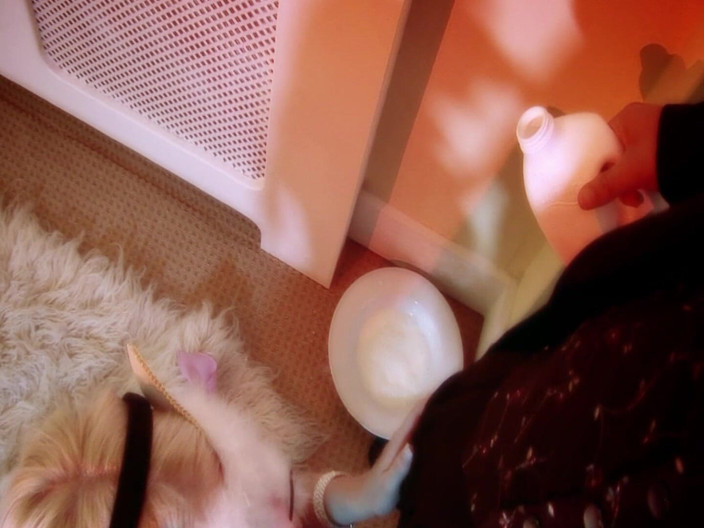 The Window of Sex: Nejžhavější kotě scéna 3 Prsatá blondýnka s kočičí maskou si užívá...